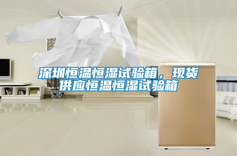 深圳恒溫恒濕試驗箱，現(xiàn)貨供應恒溫恒濕試驗箱