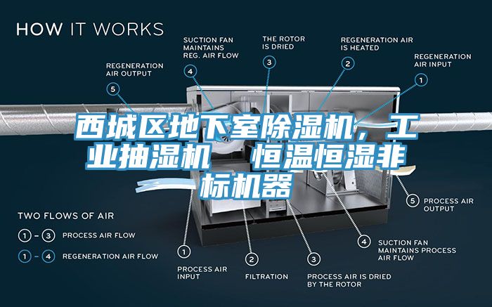 西城區(qū)地下室除濕機(jī)，工業(yè)抽濕機(jī)  恒溫恒濕非標(biāo)機(jī)器