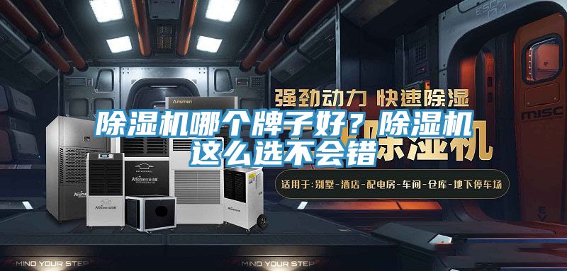 除濕機(jī)哪個(gè)牌子好？除濕機(jī)這么選不會錯(cuò)