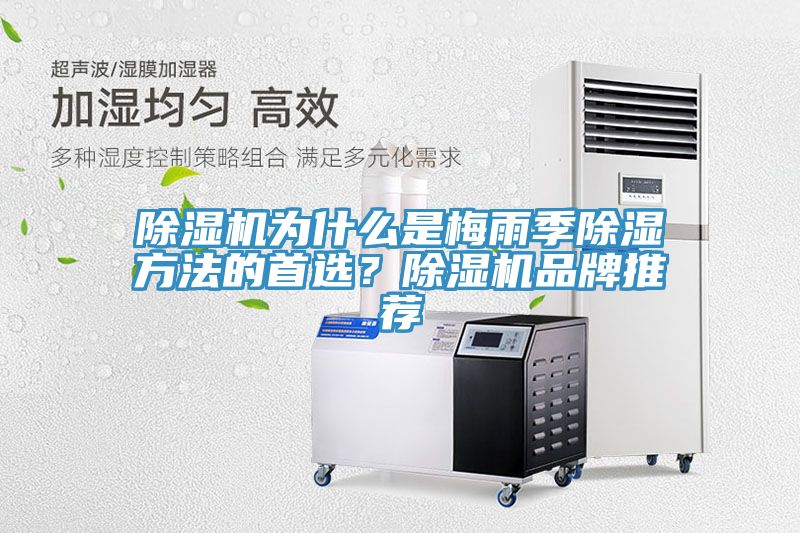 除濕機(jī)為什么是梅雨季除濕方法的首選？除濕機(jī)品牌推薦