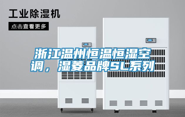 浙江溫州恒溫恒濕空調(diào)，濕菱品牌SL系列
