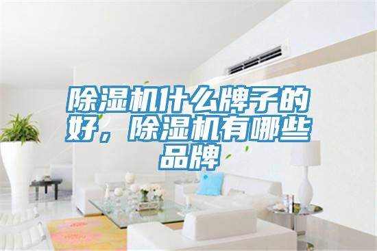 除濕機(jī)什么牌子的好，除濕機(jī)有哪些品牌