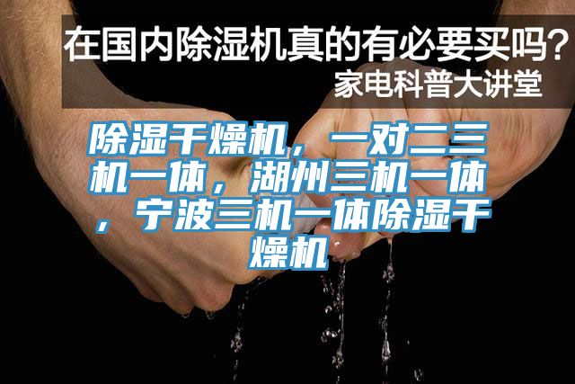 除濕干燥機，一對二三機一體，湖州三機一體，寧波三機一體除濕干燥機