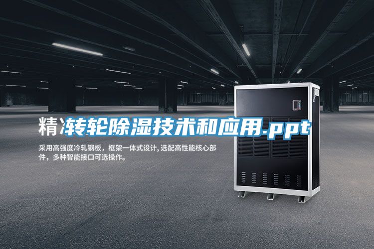 轉(zhuǎn)輪除濕技術(shù)和應用.ppt