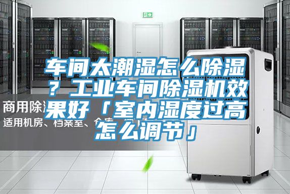 車間太潮濕怎么除濕？工業(yè)車間除濕機(jī)效果好「室內(nèi)濕度過高怎么調(diào)節(jié)」