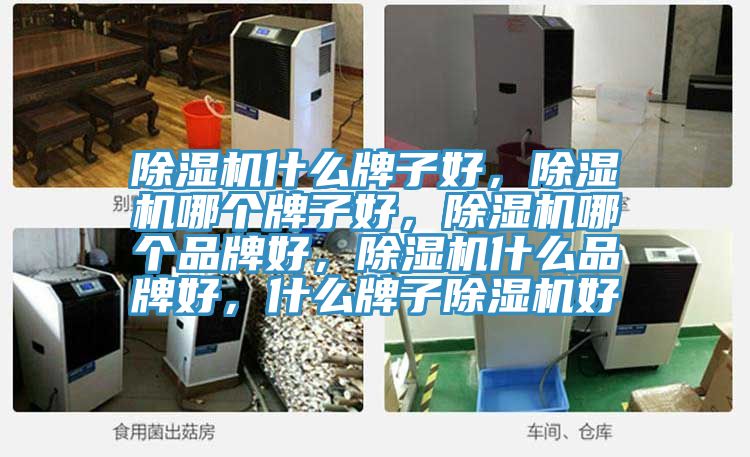 除濕機什么牌子好，除濕機哪個牌子好，除濕機哪個品牌好，除濕機什么品牌好，什么牌子除濕機好