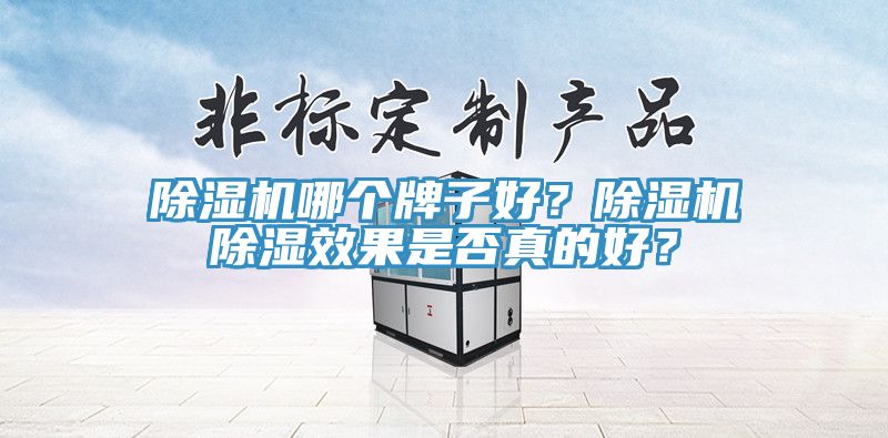 除濕機(jī)哪個(gè)牌子好？除濕機(jī)除濕效果是否真的好？