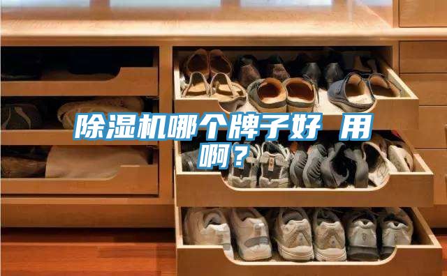 除濕機哪個牌子好 用??？