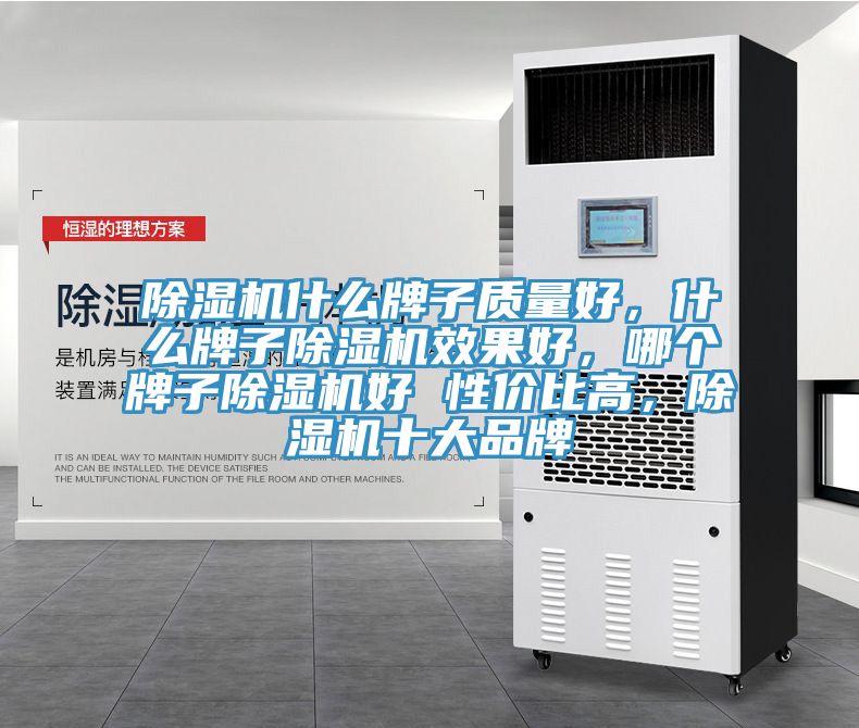 除濕機(jī)什么牌子質(zhì)量好，什么牌子除濕機(jī)效果好，哪個(gè)牌子除濕機(jī)好 性價(jià)比高，除濕機(jī)十大品牌