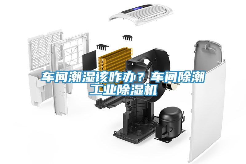 車間潮濕該咋辦？車間除潮工業(yè)除濕機(jī)