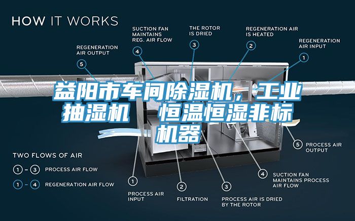 益陽市車間除濕機，工業(yè)抽濕機  恒溫恒濕非標(biāo)機器