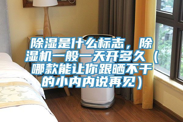 除濕是什么標志，除濕機一般一天開多久（哪款能讓你跟曬不干的小內(nèi)內(nèi)說再見）