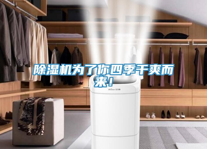 除濕機為了你四季干爽而來！