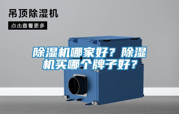 除濕機哪家好？除濕機買哪個牌子好？
