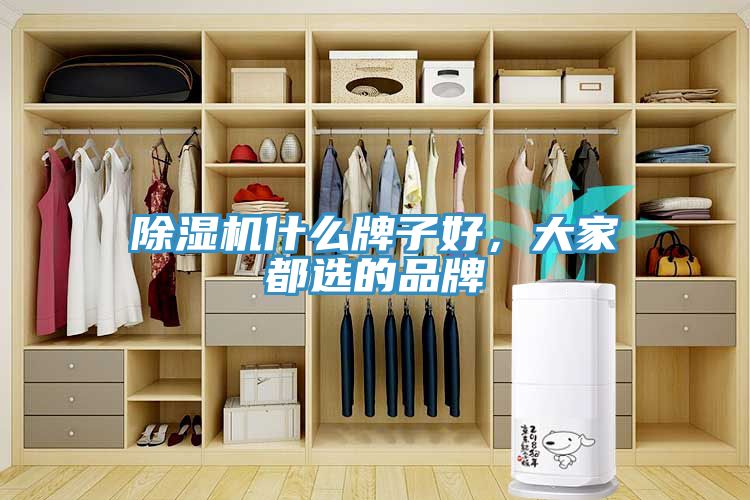 除濕機什么牌子好，大家都選的品牌
