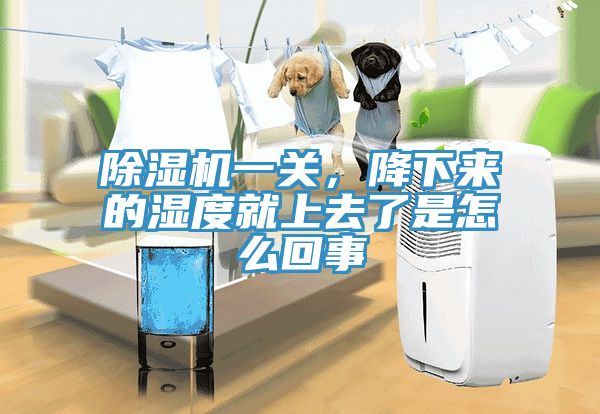 除濕機一關(guān)，降下來的濕度就上去了是怎么回事