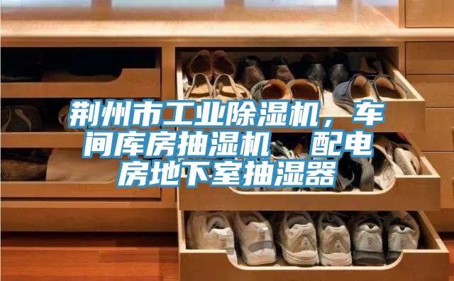 荊州市工業(yè)除濕機(jī)，車(chē)間庫(kù)房抽濕機(jī)  配電房地下室抽濕器