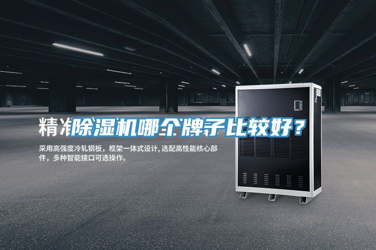 除濕機(jī)哪個(gè)牌子比較好？