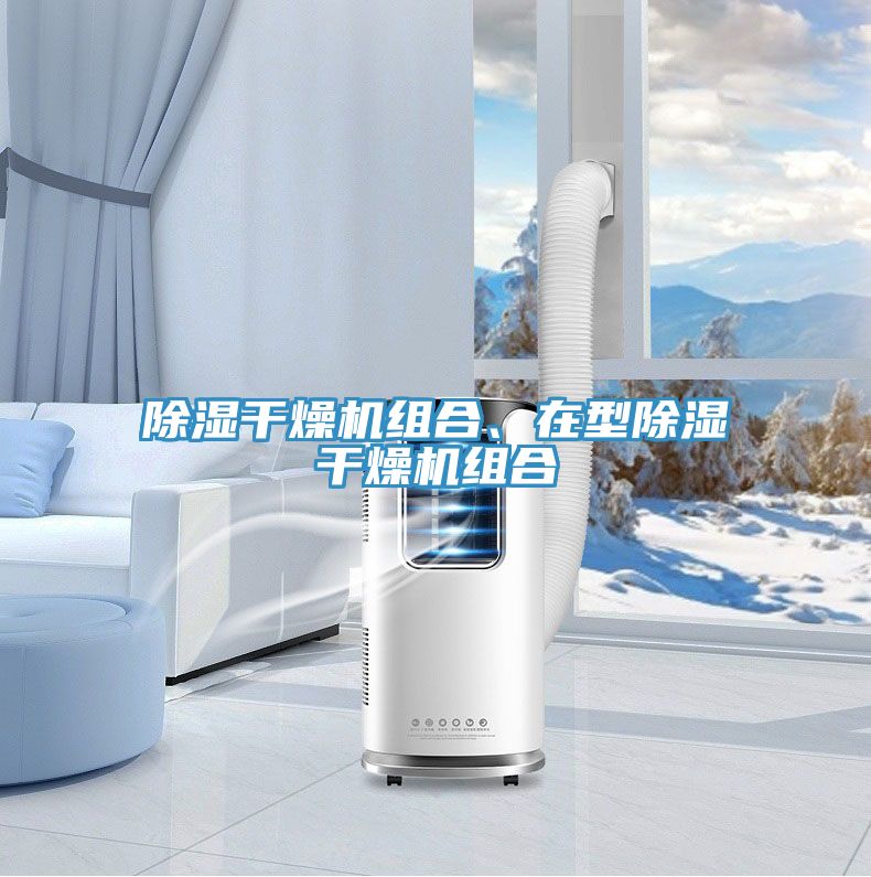除濕干燥機(jī)組合、在型除濕干燥機(jī)組合