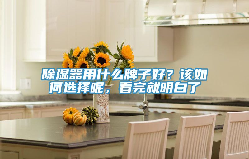除濕器用什么牌子好？該如何選擇呢，看完就明白了