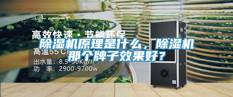 除濕機原理是什么，除濕機那個牌子效果好？