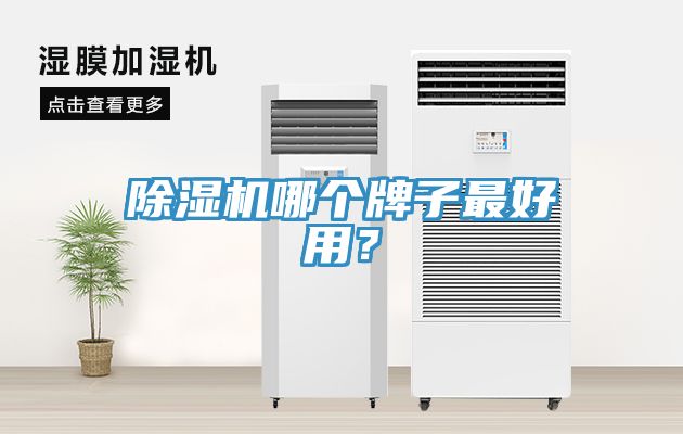 除濕機(jī)哪個(gè)牌子最好用？