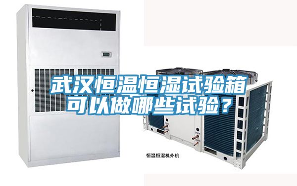 武漢恒溫恒濕試驗(yàn)箱可以做哪些試驗(yàn)？