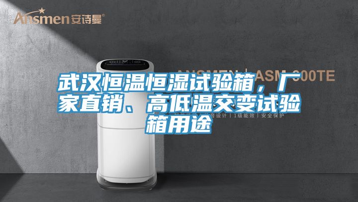 武漢恒溫恒濕試驗(yàn)箱，廠家直銷、高低溫交變?cè)囼?yàn)箱用途