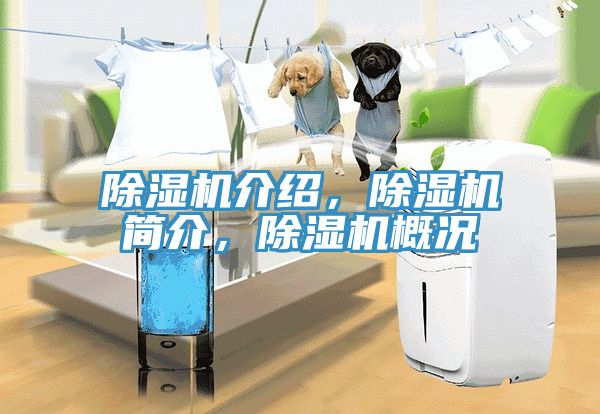 除濕機介紹，除濕機簡介，除濕機概況