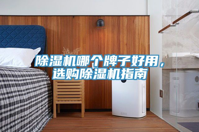 除濕機(jī)哪個(gè)牌子好用，選購(gòu)除濕機(jī)指南