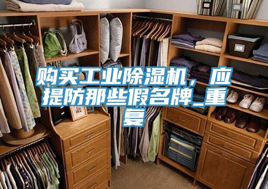 購(gòu)買工業(yè)除濕機(jī)，應(yīng)提防那些假名牌_重復(fù)