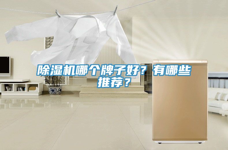 除濕機哪個牌子好？有哪些推薦？