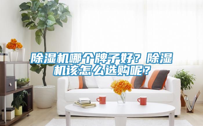 除濕機(jī)哪個(gè)牌子好？除濕機(jī)該怎么選購呢？