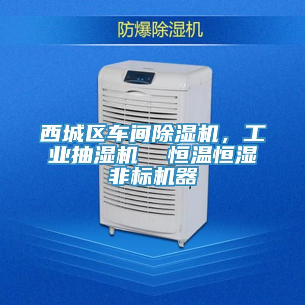 西城區(qū)車(chē)間除濕機(jī)，工業(yè)抽濕機(jī)  恒溫恒濕非標(biāo)機(jī)器