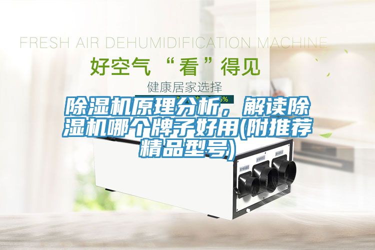 除濕機(jī)原理分析，解讀除濕機(jī)哪個牌子好用(附推薦精品型號)
