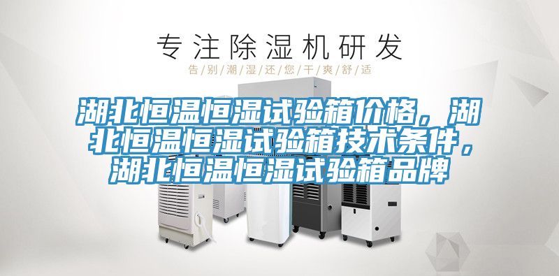 湖北恒溫恒濕試驗(yàn)箱價(jià)格，湖北恒溫恒濕試驗(yàn)箱技術(shù)條件，湖北恒溫恒濕試驗(yàn)箱品牌