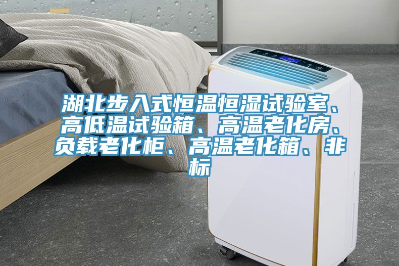 湖北步入式恒溫恒濕試驗(yàn)室、高低溫試驗(yàn)箱、高溫老化房、負(fù)載老化柜、高溫老化箱、非標(biāo)