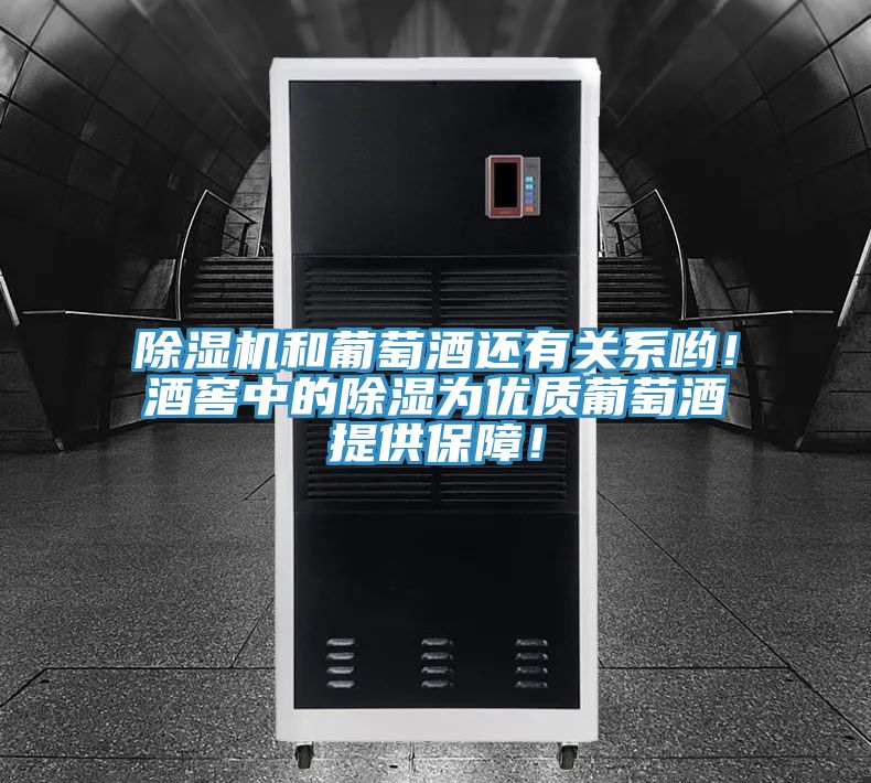 除濕機和葡萄酒還有關系喲！酒窖中的除濕為優(yōu)質(zhì)葡萄酒提供保障！