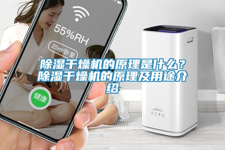 除濕干燥機的原理是什么？除濕干燥機的原理及用途介紹