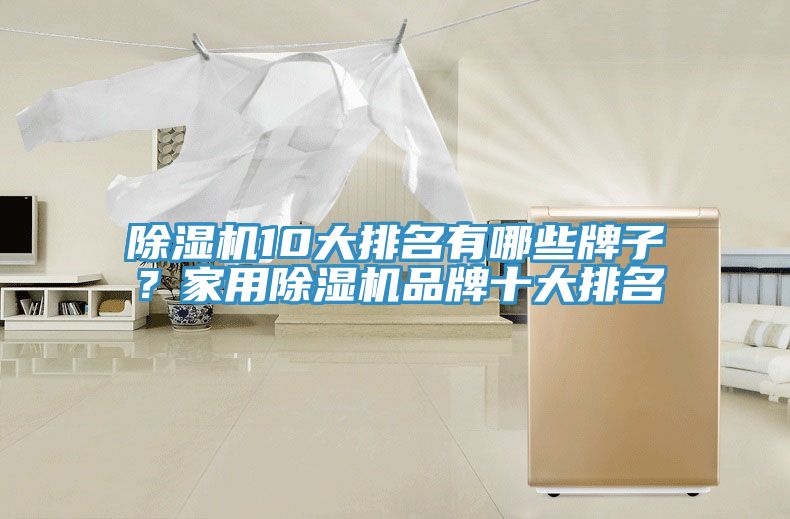除濕機10大排名有哪些牌子？家用除濕機品牌十大排名
