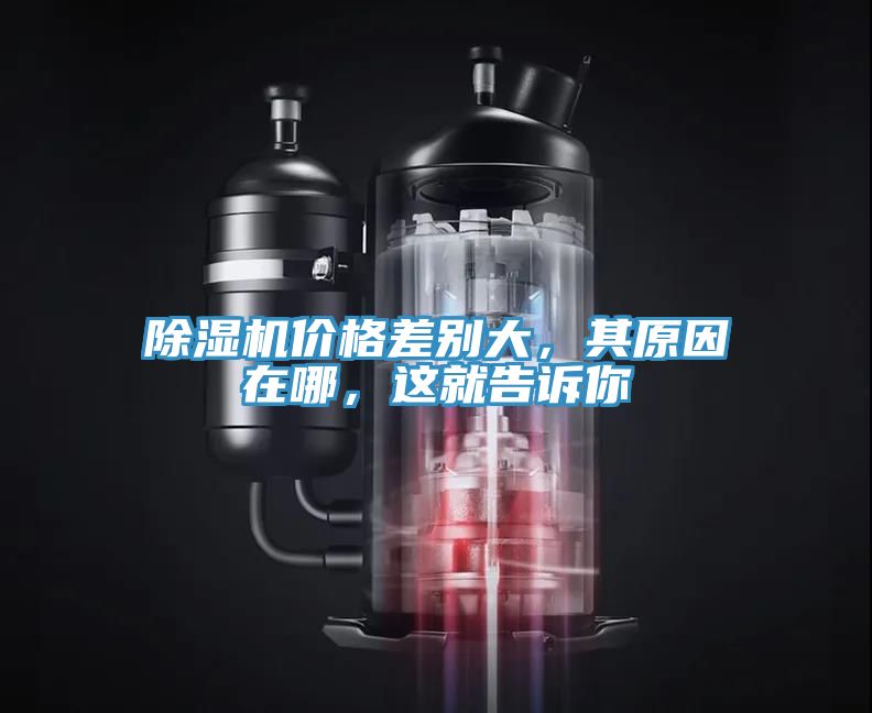 除濕機價格差別大，其原因在哪，這就告訴你