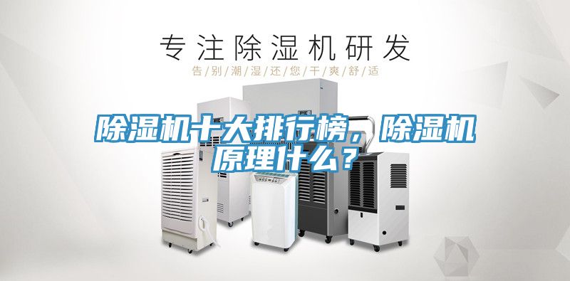 除濕機(jī)十大排行榜，除濕機(jī)原理什么？