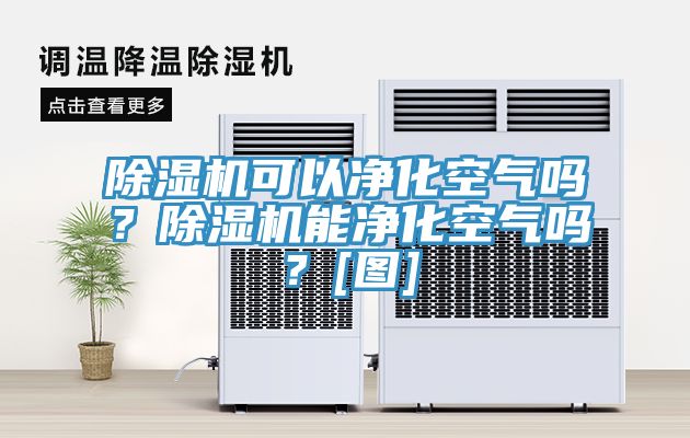除濕機可以凈化空氣嗎？除濕機能凈化空氣嗎？[圖]