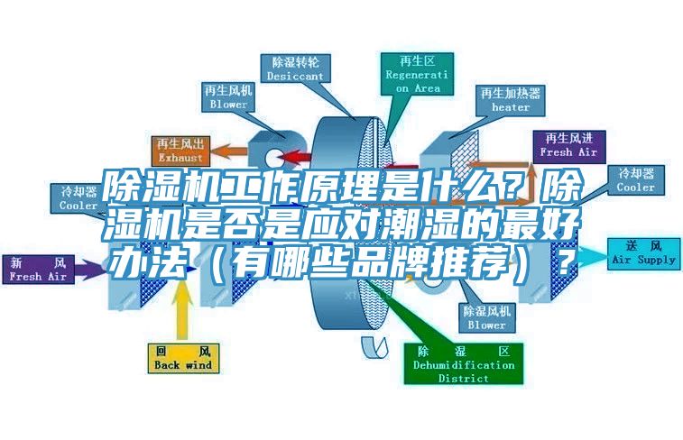 除濕機(jī)工作原理是什么？除濕機(jī)是否是應(yīng)對(duì)潮濕的最好辦法（有哪些品牌推薦）？