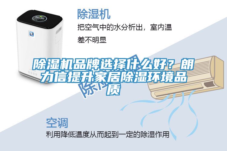 除濕機品牌選擇什么好？朗力信提升家居除濕環(huán)境品質(zhì)