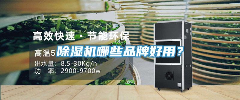 除濕機(jī)哪些品牌好用？