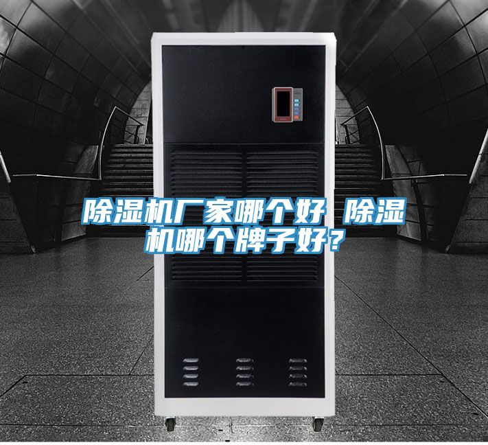除濕機(jī)廠家哪個(gè)好 除濕機(jī)哪個(gè)牌子好？