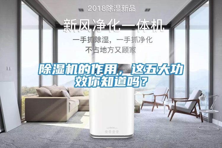 除濕機(jī)的作用，這五大功效你知道嗎？