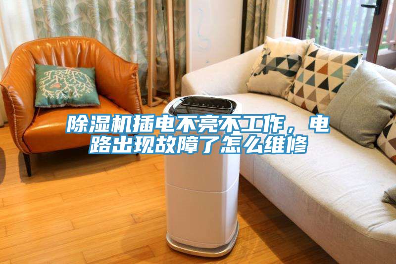 除濕機(jī)插電不亮不工作，電路出現(xiàn)故障了怎么維修
