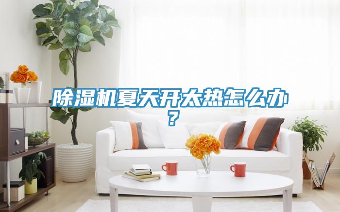 除濕機(jī)夏天開太熱怎么辦？